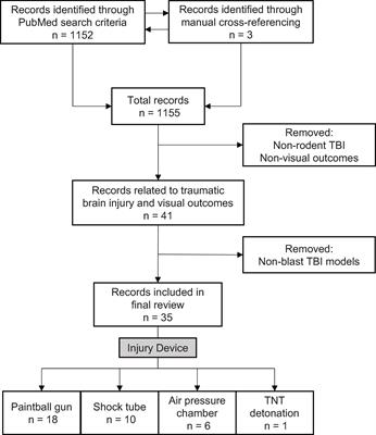 Visual Outcomes in Experimental Rodent Models of Blast-Mediated Traumatic Brain Injury